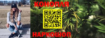 крисы Ставрополь