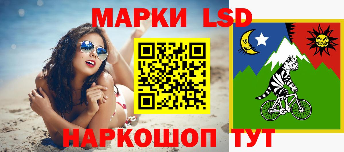Альфа ПВП Нефтекумск