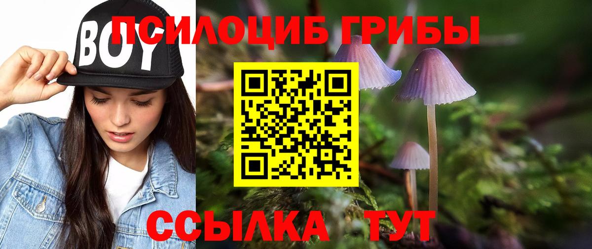 Галлюциногенные грибы прущие грибы  Вход с VPN  Нефтекумск  Псилоцибиновые грибы прущие грибы 