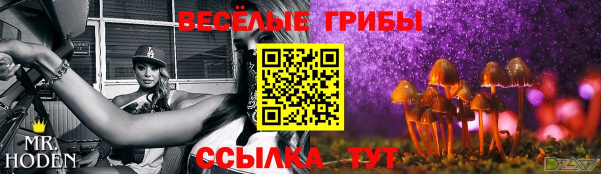 Галлюциногенные грибы мицелий Нефтекумск
