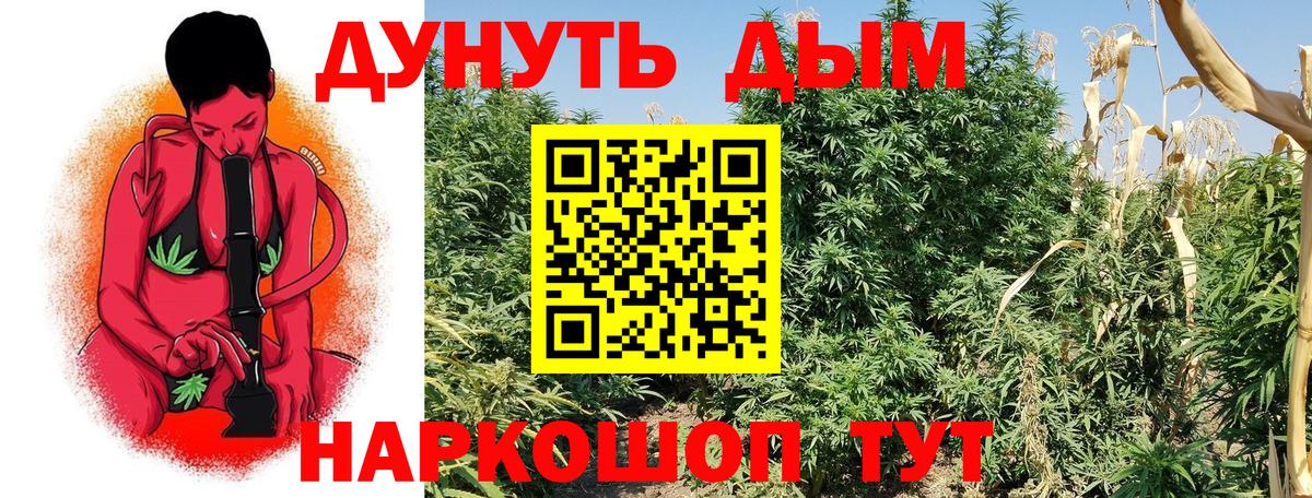 Каннабис OG Kush Нефтекумск